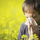 Illustration for article titled Allergies Could Have Evolved to Protect Us